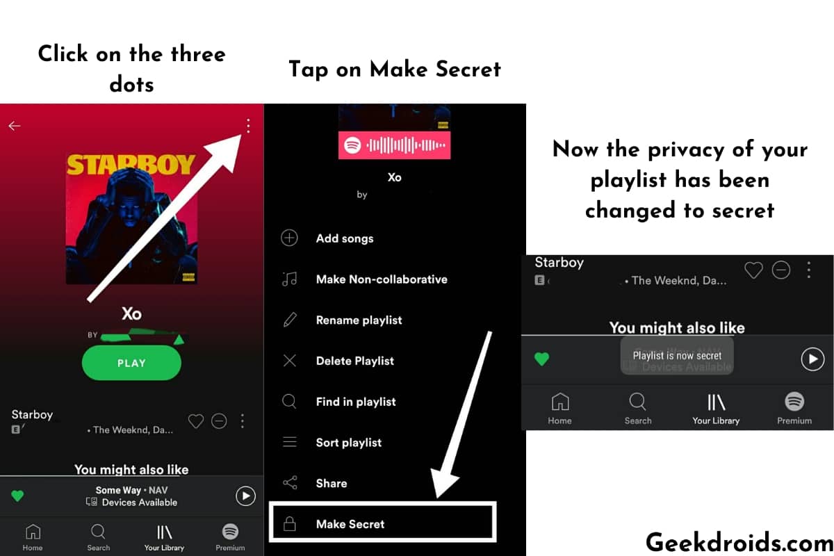 private session spotify