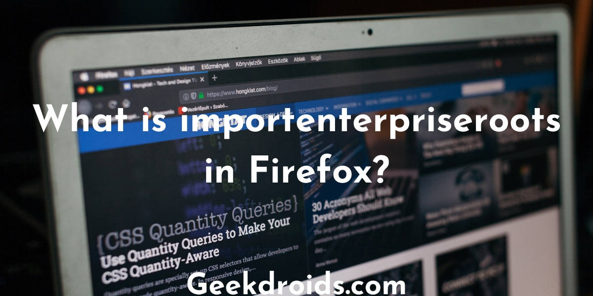 Firefox certificate importenterpriseroots